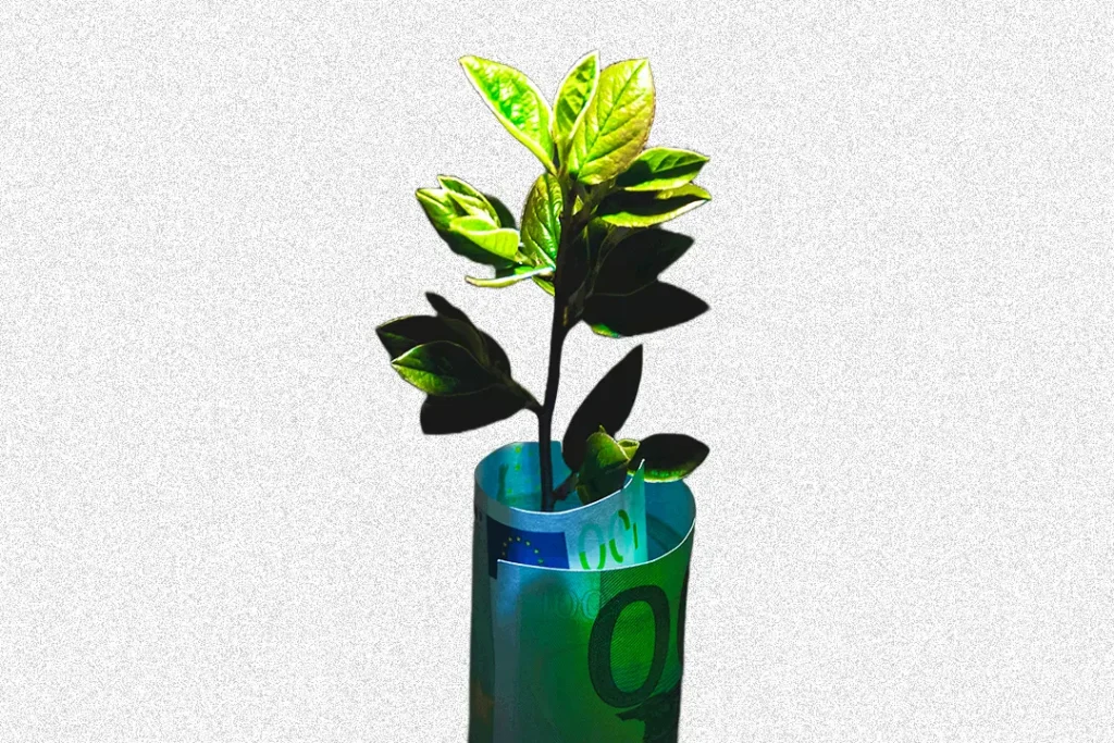 Como fazer uma pequena empresa crescer? 1 Planta verde em um vaso transparente, destacando-se em um ambiente iluminado.