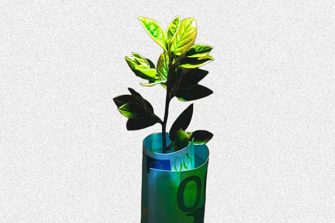Planta verde em um vaso transparente, destacando-se em um ambiente iluminado.